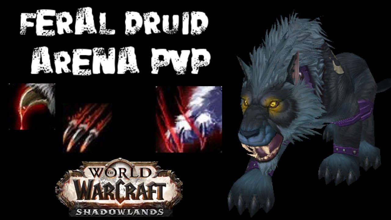 FERAL DRUID PvP 2 7k Arena WoW Shadowlands World Of Warcraft Videos