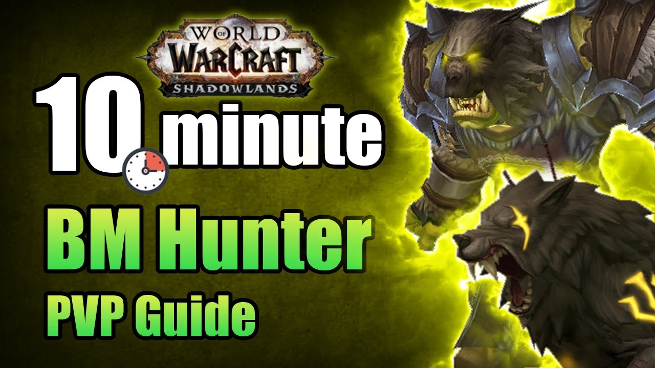 Shadowlands 9 0 2 Beast Mastery Hunter PVP Guide In Under 10 Minutes