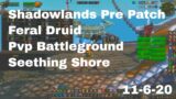 World of Warcraft Shadowlands Pre Patch Feral Druid Pvp Battleground, Seething Shore, 11-6-20