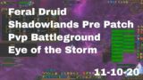 World of Warcraft Shadowlands Pre Patch Feral Druid Pvp Battleground, Eye of the Storm, 11-10-20