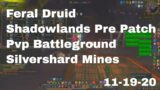 World of Warcraft Shadowlands Pre Patch Feral Druid Pvp Battleground, Silvershard Mines, 11-19-20