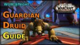 Shadowlands Guardian Druid Guide