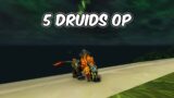5 Druids OP – Feral Druid PvP – WoW Shadowlands Pre-Patch
