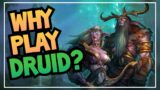 5 Reasons to Play DRUID in 2020 | World of Warcraft | BFA + Shadowlands