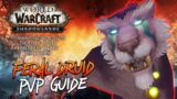 9.0 FERAL DRUID PvP GUIDE – Talents, Stats, Essences, Azerite, Rotations- WoW: Shadowlands Pre-Patch