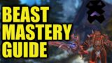 COMPLETE Shadowlands Beast Mastery Hunter Overview