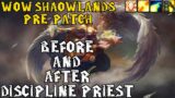 DISC PRIEST pre-patch Impressions | World of Warcraft: Shadowlands | (Before and After)