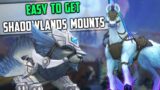 Easy to Get Shadowlands Mounts and How to Get Them – WoW