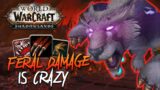 FERAL BURST DAMAGE IS CRAZY! – Feral Druid PvP – Shadowlands Beta (World of Warcraft: Shadowlands)