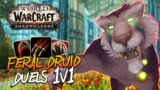 FERAL DRUID DUELS!!! Feral Druid PvP – WoW: Shadowlands 9.0 Prepatch 1v1