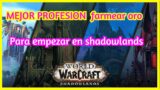 Farmea mucho oro con estas 2 profesiones en world of warcraft shadowlands wow farmeo de ficha de oro