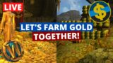 Farming gold with viewers | 2k subs, thank you! | Wow Shadowlands Pre-Patch Gold Farming