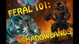 Feral 101: Shadowlands Feral Guide