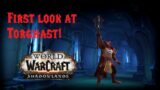 First Look of Torghast! Looking fun so far! -World of Warcraft Shadowlands-