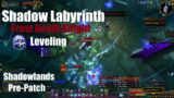 Frost Death Knight Leveling – Shadow Labyrinth – World of Warcraft Shadowlands Pre-Patch