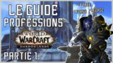 Guide Des Professions Shadowlands Partie 1 : Production et Service (World of Warcraft)