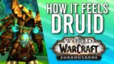 How Does Updated Druid (Balance/Feral) Feel To Play In Shadowlands? – WoW: Shadowlands Alpha