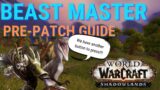 How to play Beast Master Hunter in the Shadowlands prepatch | A new button to press!