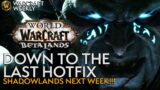 LAST MINUTE CHANGES Before The Shadowlands Launch! Warcraft Weekly