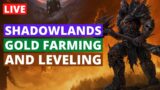 Leveling and Farming Gold in Shadowlands | Wow Shadowlands Gold Farming Guide