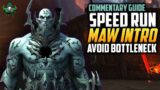 Maw Intro Leveling Guide 9.0 – Speed Run To Avoid Bottleneck – Beta Shadowlands – World of Warcraft