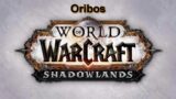 Oribos  World of warcraft shadowlands