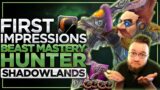 Pet Attacks FIXED?! New Talents! Beast Mastery Hunter | WoW Shadowlands Alpha [1st Pass] FinalBossTV