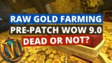 Raw Gold Farming In Pre-Patch | Wow Shadowlands 9.0 | Easy Wow Gold Farming
