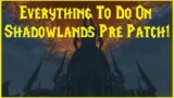 Retail Wow: Everything to do on Shadowlands Pre Patch!