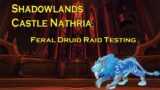 Shadowlands Beta Raid Testing Feral Druid