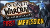Shadowlands FIRST Impressions – Is it any good?