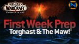 Shadowlands First Week Guide! The Maw, Torghast & More Explained!