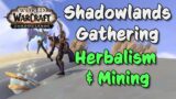 Shadowlands Gathering – Herbalism & Mining | First Look & Thoughts from Beta