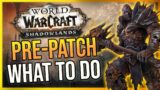 Shadowlands PRE-PATCH! 5 Must Do's! Expansion Prep – Let's Get Sexy | WoW PTR