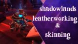 Shadowlands Professions Guide – Leatherworking and Skinning