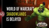 Shadowlands is Delayed – Why Delaying World of Warcraft Shadowlands is a good thing.