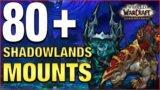 This is crazy!! 80+ Shadowlands Mounts | World of Warcraft Mount Guides