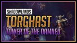 Torghast, Tower of the Damned Gameplay – IT'S SO GOOD – World of Warcraft: Shadowlands
