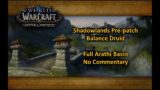 WOW Shadowlands Pre-patch | Balance Druid | Full Arathi Basin (no comm)