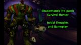 WOW Shadowlands Pre-patch | Survival Hunter | Thoughts & Gameplay