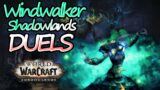 Windwalker Monk Duels [World of Warcraft] Shadowlands PTR