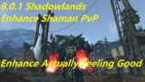 WoW 9.0.1 Shadowlands – Enhancement Shaman PvP – Actual Damage and Healing Now??? What Changed?