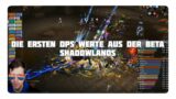 WoW Shadowlands: Die ersten DPS-Rankings aus der Beta