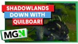WoW Shadowlands – Down with the Quilboar guide – MGN World of Warcraft