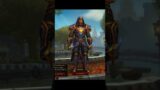 WoW Shadowlands Rogue Transmog || Level 60 Template Character || World of Warcraft Shadowlands Beta