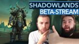 WoW Shadowlands: Wir spielen jetzt schon live die Beta!