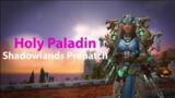World Of Warcraft Shadowlands – Warsong Gultch 'Holy Paladin' battleground Levelling [Gameplay]