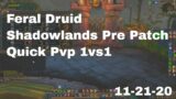 World of Warcraft Shadowlands Pre Patch Feral Druid Pvp 1vs1, 11-21-20