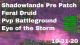 World of Warcraft Shadowlands Pre Patch Feral Druid Pvp Battleground, Eye of the Storm, 10-31-20