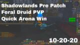 World of Warcraft Shadowlands Pre Patch Feral Druid Pvp Skirmish, 10-20-20